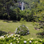 PACOTE GRAMADO,CANELA & NOVA PETRÓPOLIS COM MUSEU DO EGITO, PARQUE DO CARACOL E LABIRINTO VERDE - PHOTO-2020-12-11-11-43-32