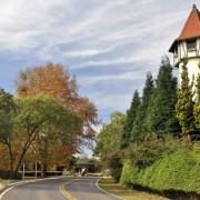 PACOTE GRAMADO,CANELA & NOVA PETRÓPOLIS COM MUSEU DO EGITO, PARQUE DO CARACOL E LABIRINTO VERDE - Torre Informações - Sabrina Schuster
