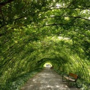 PACOTE DE CONTO DE FADAS DA PRIMAVERA – SÃO FRANCISCO DE PAULA, PARQUE MATRIA , LIVRARIA MIRAGEM, CASTELO MONTSALVAT -DIA 22 DE NOVEMBRO DE 2025-SÁBADO - 322477404_2175136282678300_4852377529902221913_n