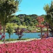PACOTE DE CONTO DE FADAS DA PRIMAVERA – SÃO FRANCISCO DE PAULA, PARQUE MATRIA , LIVRARIA MIRAGEM, CASTELO MONTSALVAT -DIA 22 DE NOVEMBRO DE 2025-SÁBADO - IMG_5140
