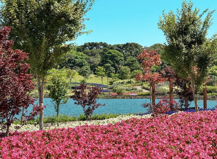 PACOTE DE CONTO DE FADAS DA PRIMAVERA – SÃO FRANCISCO DE PAULA, PARQUE MATRIA , LIVRARIA MIRAGEM, CASTELO MONTSALVAT -DIA 22 DE NOVEMBRO DE 2025-SÁBADO - IMG_5140
