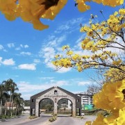 PACOTE NOSTRO FILÓ DE ANTONIO PRADO -VENHA PARA A FESTA MAIS ANIMADA NA CIDADE MAIS ITALIANA DO RGS-DIA 21 DE JUNHO DE 2025 - thumbnail_IMG_1732