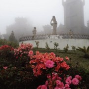 PACOTE DE CONTO DE FADAS DA PRIMAVERA – SÃO FRANCISCO DE PAULA, PARQUE MATRIA , LIVRARIA MIRAGEM, CASTELO MONTSALVAT -DIA 22 DE NOVEMBRO DE 2025-SÁBADO - thumbnail_IMG_2263