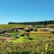 PACOTE DE CONTO DE FADAS DA PRIMAVERA – SÃO FRANCISCO DE PAULA, PARQUE MATRIA , LIVRARIA MIRAGEM, CASTELO MONTSALVAT -DIA 22 DE NOVEMBRO DE 2025-SÁBADO - thumbnail_IMG_2302