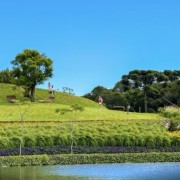 PACOTE DE CONTO DE FADAS DA PRIMAVERA – SÃO FRANCISCO DE PAULA, PARQUE MATRIA , LIVRARIA MIRAGEM, CASTELO MONTSALVAT -DIA 22 DE NOVEMBRO DE 2025-SÁBADO - thumbnail_IMG_2305