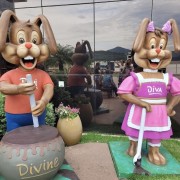 PACOTE CRISTO DE ENCANTADO-COLINAS, IMIGRANTE & TEOTÔNIA-CONVENTO FRANCISCANO BOA VENTURA, CACTÁRIO HORST,FÁBRICA DE VELAS ARTESANAIS, MELIPOLINARO KLEIN,CRISTO DE ENCANTADO ,CHOCOLATES DIVINE, ALAMBIQUE ENGENHO 4 VENTOS, MORRO DE TEUTÔNIA-DIA 11 DE OUTUBRO - thumbnail_IMG_2684