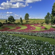 PACOTE DE CONTO DE FADAS DA PRIMAVERA – SÃO FRANCISCO DE PAULA, PARQUE MATRIA , LIVRARIA MIRAGEM, CASTELO MONTSALVAT -DIA 22 DE NOVEMBRO DE 2025-SÁBADO - thumbnail_IMG_5145