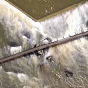 PACOTE CALDAS DE PRATA -ÁGUAS TERMAIS E NATUREZA EXUBERANTE-DIA 29 DE NOVEMBRO -SÁBADO - thumbnail_IMG_4969 (1)