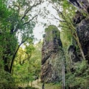 PACOTE CALDAS DE PRATA -ÁGUAS TERMAIS E NATUREZA EXUBERANTE-DIA 29 DE NOVEMBRO -SÁBADO - thumbnail_IMG_5151