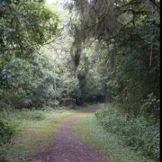 PACOTE CALDAS DE PRATA -ÁGUAS TERMAIS E NATUREZA EXUBERANTE-DIA 29 DE NOVEMBRO -SÁBADO - thumbnail_IMG_5200