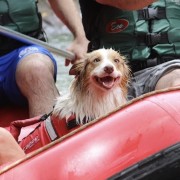 PACOTE RAFTING-DIA DE PURA AVENTURA NO PARQUE DAS LARANJEIRAS-DIA 13 DE DEZEMBRO -SÁBADO - thumbnail_IMG_5388 (1)