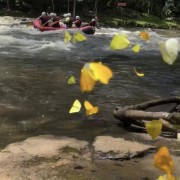 PACOTE RAFTING-DIA DE PURA AVENTURA NO PARQUE DAS LARANJEIRAS-DIA 13 DE DEZEMBRO -SÁBADO - thumbnail_IMG_5401