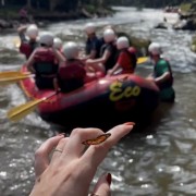 PACOTE RAFTING-DIA DE PURA AVENTURA NO PARQUE DAS LARANJEIRAS-DIA 13 DE DEZEMBRO -SÁBADO - thumbnail_IMG_5403