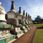 PACOTE TEMPLO BUDISTA DE TRÊS COROAS, ALMOÇO RESTAURANTE MEU CANTINHO COM MINI FAZENDINHA , CUCAS E COMPRAS EM OUTLET DE NOVO HAMBURGO-DIA 23 DE NOVEMBRO-DOMINGO - thumbnail_IMG_5487