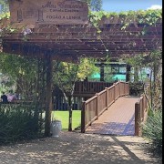 PACOTE TEMPLO BUDISTA DE TRÊS COROAS, ALMOÇO RESTAURANTE MEU CANTINHO COM MINI FAZENDINHA , CUCAS E COMPRAS EM OUTLET DE NOVO HAMBURGO-DIA 23 DE NOVEMBRO-DOMINGO - thumbnail_IMG_5525