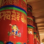 PACOTE TEMPLO BUDISTA DE TRÊS COROAS, ALMOÇO RESTAURANTE MEU CANTINHO COM MINI FAZENDINHA , CUCAS E COMPRAS EM OUTLET DE NOVO HAMBURGO-DIA 23 DE NOVEMBRO-DOMINGO - thumbnail_IMG_5637