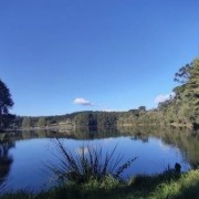 PACOTE ILOPOLIS E ARVOREZINHA-NATUREZA PRESERVADA, HISTÓRIA DO PÃO E DA ERVA MATE VISITA AO EXUBERANTE PERAU DO FACÃO PARA PEDALAR NAS NUVENS OU SE AVENTURAR NA TIROLESA DIA 18 DE JANEIRO DE 2025 - thumbnail_IMG_5999