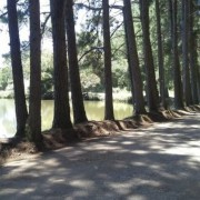 PACOTE ILOPOLIS E ARVOREZINHA-NATUREZA PRESERVADA, HISTÓRIA DO PÃO E DA ERVA MATE VISITA AO EXUBERANTE PERAU DO FACÃO PARA PEDALAR NAS NUVENS OU SE AVENTURAR NA TIROLESA DIA 18 DE JANEIRO DE 2025 - thumbnail_IMG_6004