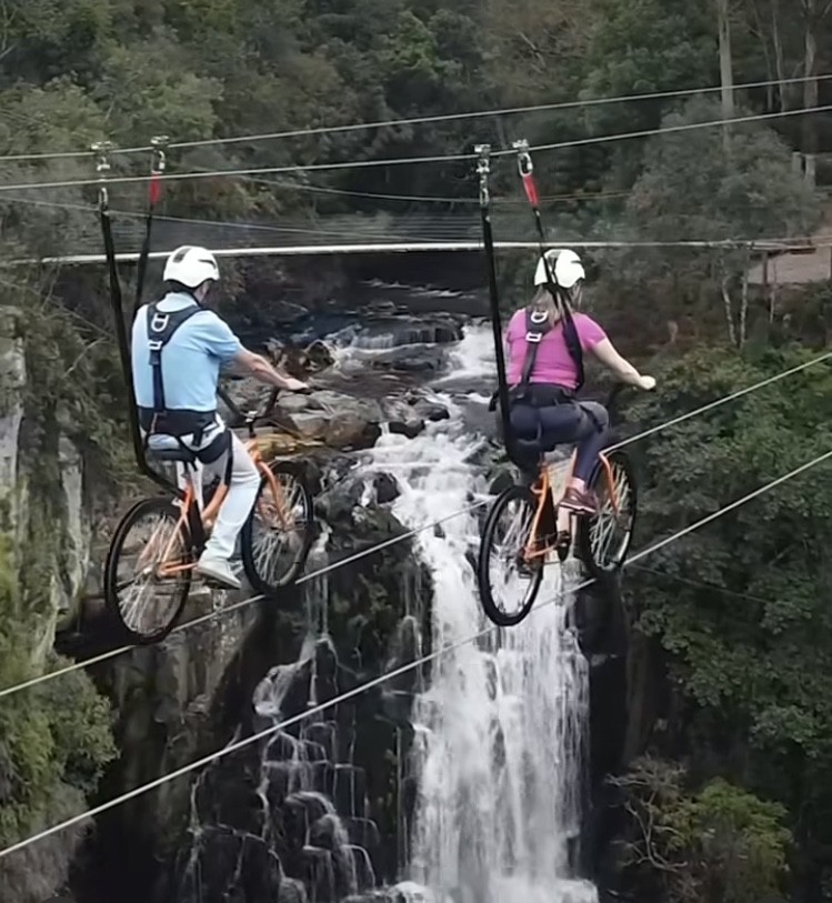 PACOTE ILOPOLIS E ARVOREZINHA-NATUREZA PRESERVADA, HISTÓRIA DO PÃO E DA ERVA MATE VISITA AO EXUBERANTE PERAU DO FACÃO PARA PEDALAR NAS NUVENS OU SE AVENTURAR NA TIROLESA DIA 18 DE JANEIRO DE 2025 - thumbnail_IMG_6035