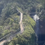 PACOTE ILOPOLIS E ARVOREZINHA-NATUREZA PRESERVADA, HISTÓRIA DO PÃO E DA ERVA MATE VISITA AO EXUBERANTE PERAU DO FACÃO PARA PEDALAR NAS NUVENS OU SE AVENTURAR NA TIROLESA DIA 18 DE JANEIRO DE 2025 - thumbnail_IMG_6055