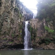 PACOTE ILOPOLIS E ARVOREZINHA-NATUREZA PRESERVADA, HISTÓRIA DO PÃO E DA ERVA MATE VISITA AO EXUBERANTE PERAU DO FACÃO PARA PEDALAR NAS NUVENS OU SE AVENTURAR NA TIROLESA DIA 18 DE JANEIRO DE 2025 - thumbnail_IMG_6065