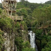 PACOTE ILOPOLIS E ARVOREZINHA-NATUREZA PRESERVADA, HISTÓRIA DO PÃO E DA ERVA MATE VISITA AO EXUBERANTE PERAU DO FACÃO PARA PEDALAR NAS NUVENS OU SE AVENTURAR NA TIROLESA DIA 18 DE JANEIRO DE 2025 - thumbnail_IMG_6078