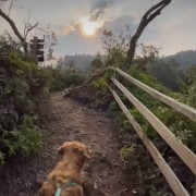 PACOTE ILOPOLIS E ARVOREZINHA-NATUREZA PRESERVADA, HISTÓRIA DO PÃO E DA ERVA MATE VISITA AO EXUBERANTE PERAU DO FACÃO PARA PEDALAR NAS NUVENS OU SE AVENTURAR NA TIROLESA DIA 18 DE JANEIRO DE 2025 - thumbnail_IMG_6090