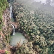 PACOTE ILOPOLIS E ARVOREZINHA-NATUREZA PRESERVADA, HISTÓRIA DO PÃO E DA ERVA MATE VISITA AO EXUBERANTE PERAU DO FACÃO PARA PEDALAR NAS NUVENS OU SE AVENTURAR NA TIROLESA DIA 18 DE JANEIRO DE 2025 - thumbnail_IMG_6097