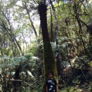 PACOTES APARADOS DA SERRA , CÂNIONS-CARNAVAL 2025-04 DIAS/03 PERNOITES-01 A 04 DE MARÇO DE 2025 - PHOTO-2020-10-23-12-28-07q