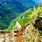 PACOTES APARADOS DA SERRA , CÂNIONS-CARNAVAL 2025-04 DIAS/03 PERNOITES-01 A 04 DE MARÇO DE 2025 - PHOTO-2020-10-23-13-38-09thte