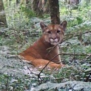 PACOTES APARADOS DA SERRA , CÂNIONS-CARNAVAL 2025-04 DIAS/03 PERNOITES-01 A 04 DE MARÇO DE 2025 - thumbnail_IMG_5273