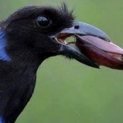 PACOTES APARADOS DA SERRA , CÂNIONS-CARNAVAL 2025-04 DIAS/03 PERNOITES-01 A 04 DE MARÇO DE 2025 - thumbnail_IMG_5275