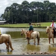 PACOTES APARADOS DA SERRA , CÂNIONS-CARNAVAL 2025-04 DIAS/03 PERNOITES-01 A 04 DE MARÇO DE 2025 - thumbnail_IMG_8375