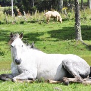 PACOTES APARADOS DA SERRA , CÂNIONS-CARNAVAL 2025-04 DIAS/03 PERNOITES-01 A 04 DE MARÇO DE 2025 - thumbnail_IMG_8377 (1)