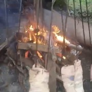 PACOTES APARADOS DA SERRA , CÂNIONS-CARNAVAL 2025-04 DIAS/03 PERNOITES-01 A 04 DE MARÇO DE 2025 - thumbnail_IMG_8381 (1)