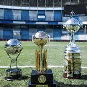 PACOTES DE TRASLADOS PARA JOGOS LIBERTADORES  E SUL AMERICANA EM 2025 -Período a definir - thumbnail_IMG_9650