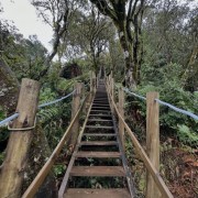 PACOTE SERRA DO RIO DO RASTRO-BOM JARDIM DA SERRA & URUBICI -VAMOS CAMINHAR NAS NUVENS DE 31 DE MAIO a 01 DE JUNHO - thumbnail_IMG_1827