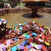 PACOTE GRAMADO E CANELA COM CAFÉ COLONIAL & PARQUE ALPEN PARK -DIA 17 DE MAIO DE 2025 - thumbnail_IMG_1958