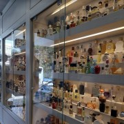 PACOTE GRAMADO E CANELA COM CAFÉ COLONIAL & PARQUE ALPEN PARK -DIA 17 DE MAIO DE 2025 - thumbnail_IMG_2100