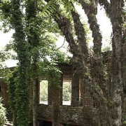 PACOTE GRAMADO E CANELA COM CAFÉ COLONIAL & PARQUE ALPEN PARK -DIA 17 DE MAIO DE 2025 - thumbnail_IMG_2118