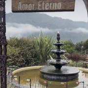 PACOTE SERRA DO RIO DO RASTRO-BOM JARDIM DA SERRA & URUBICI -VAMOS CAMINHAR NAS NUVENS DE 31 DE MAIO a 01 DE JUNHO - thumbnail_IMG_3221