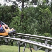 PACOTE GRAMADO E CANELA COM CAFÉ COLONIAL & PARQUE ALPEN PARK -DIA 17 DE MAIO DE 2025 - thumbnail_IMG_3755