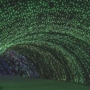 PACOTE DIA DOS NAMORADOS NO PARQUE LUMNI EM GRAMADO-Venha criar momentos inesquecíveis cheios de luz e cor com quem amas-12 a 15 de Junho de 2025 - thumbnail_IMG_5440