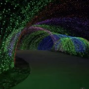 PACOTE DIA DOS NAMORADOS NO PARQUE LUMNI EM GRAMADO-Venha criar momentos inesquecíveis cheios de luz e cor com quem amas-12 a 15 de Junho de 2025 - thumbnail_IMG_5453