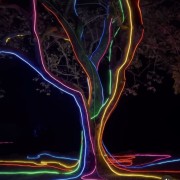 PACOTE DIA DOS NAMORADOS NO PARQUE LUMNI EM GRAMADO-Venha criar momentos inesquecíveis cheios de luz e cor com quem amas-12 a 15 de Junho de 2025 - thumbnail_IMG_5454