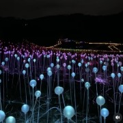 PACOTE DIA DOS NAMORADOS NO PARQUE LUMNI EM GRAMADO-Venha criar momentos inesquecíveis cheios de luz e cor com quem amas-12 a 15 de Junho de 2025 - thumbnail_IMG_5462