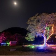 PACOTE DIA DOS NAMORADOS NO PARQUE LUMNI EM GRAMADO-Venha criar momentos inesquecíveis cheios de luz e cor com quem amas-12 a 15 de Junho de 2025 - thumbnail_IMG_5469