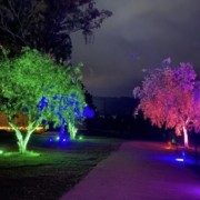 PACOTE DIA DOS NAMORADOS NO PARQUE LUMNI EM GRAMADO-Venha criar momentos inesquecíveis cheios de luz e cor com quem amas-12 a 15 de Junho de 2025 - thumbnail_IMG_5474