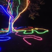 PACOTE DIA DOS NAMORADOS NO PARQUE LUMNI EM GRAMADO-Venha criar momentos inesquecíveis cheios de luz e cor com quem amas-12 a 15 de Junho de 2025 - thumbnail_IMG_5480