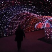 PACOTE DIA DOS NAMORADOS NO PARQUE LUMNI EM GRAMADO-Venha criar momentos inesquecíveis cheios de luz e cor com quem amas-12 a 15 de Junho de 2025 - thumbnail_IMG_5484